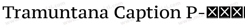 Tramuntana Caption P字体转换